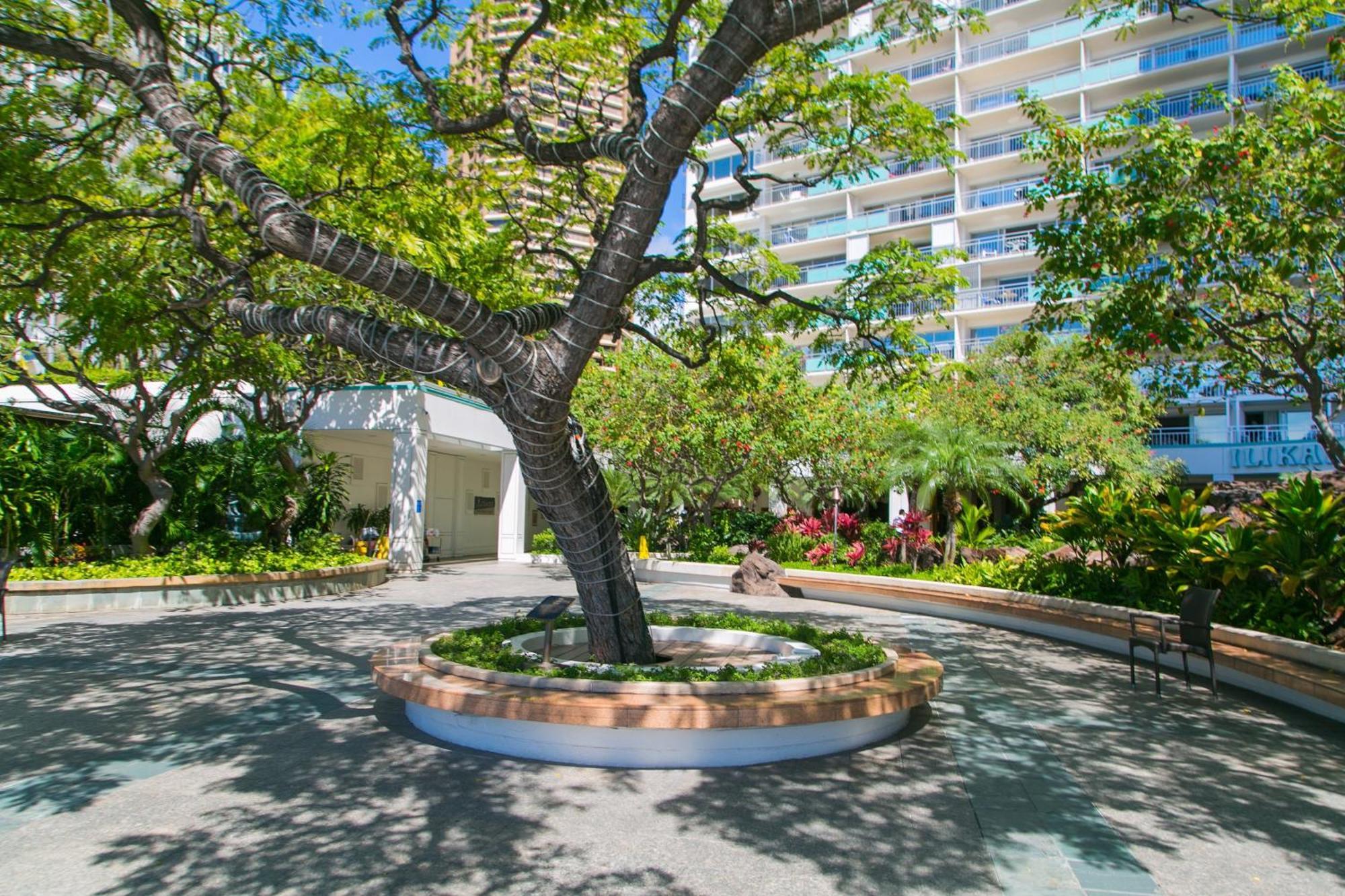 Ilikai Tower 1812 Lagoon View 1Br Honolulu Kültér fotó